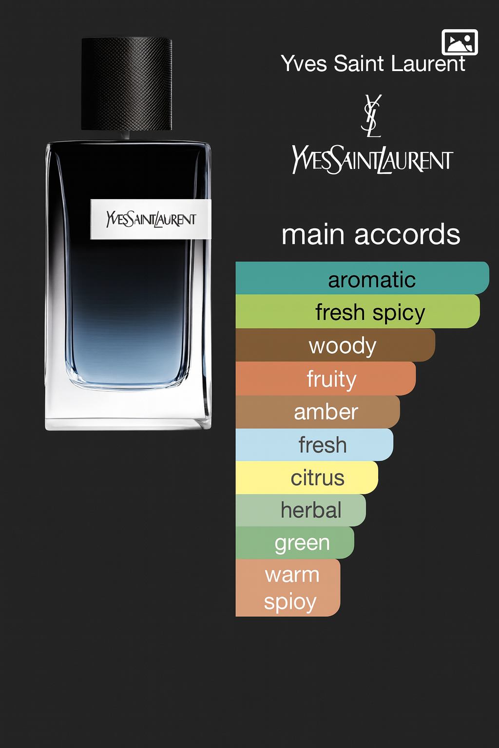 Yves Saint Laurent Y